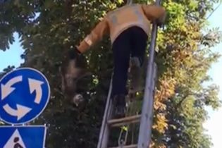 На Вінниччині рятувальник за хвіст стягнув із дерева кота