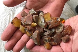 На границе с Польшей задержали крупнейшую за год партию янтаря