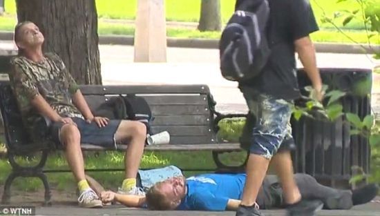 Масове передозування наркотиками: у парку біля Єльського університету отруїлися майже 80 осіб