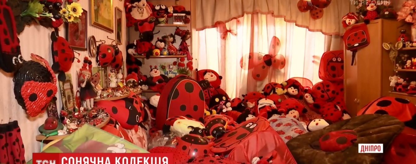 Українка зазіхнула на рекорд Гіннеса з найбільшою у світі колекцією сонечок