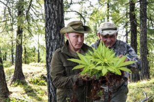"Горбата гора" та пошуки Медведєва у лісі. Соцмережі обговорюють фото з відпочинку Путіна
