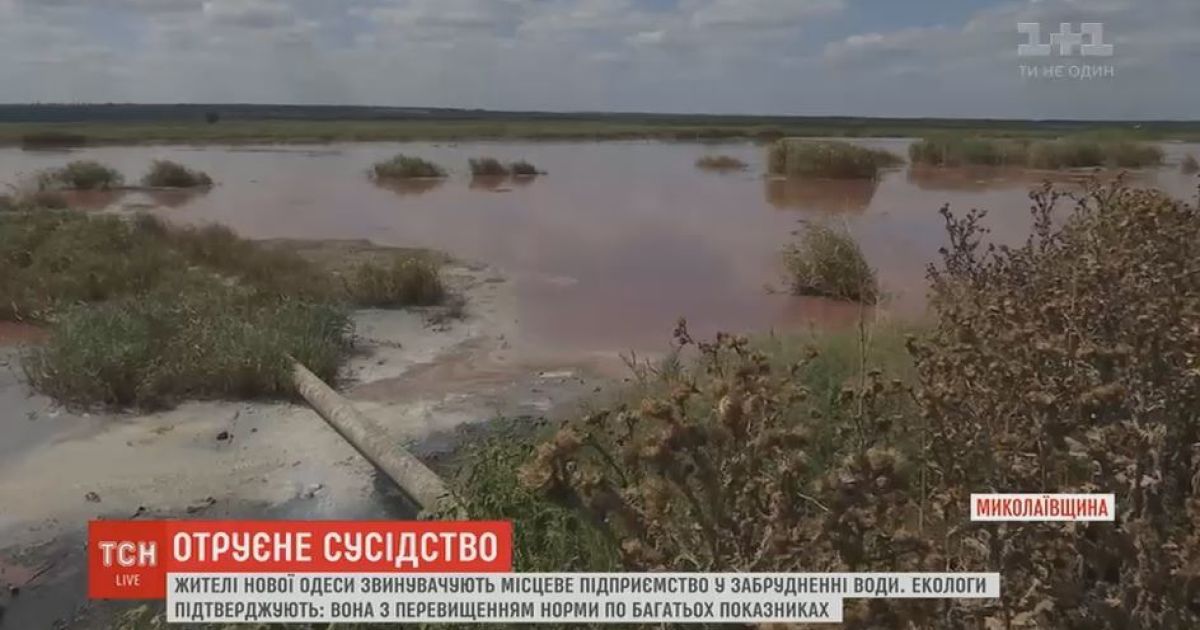На Николаевщине маслозавод грязными стоками вызвал местную экологическую катастрофу