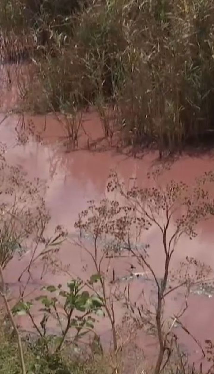 Розовая вода с вонью. В Новой Одессе горожане страдают от маслозавода