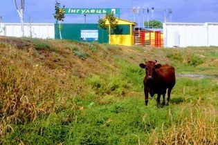 В "Ингульце" объяснили, почему сделали "клетку" для фанатов, и пообещали усовершенствовать ее