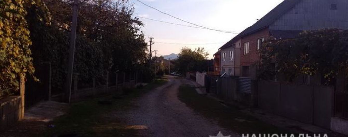 На Закарпатті чоловік стріляв у працівників обленерго, які відключали йому світло за борги