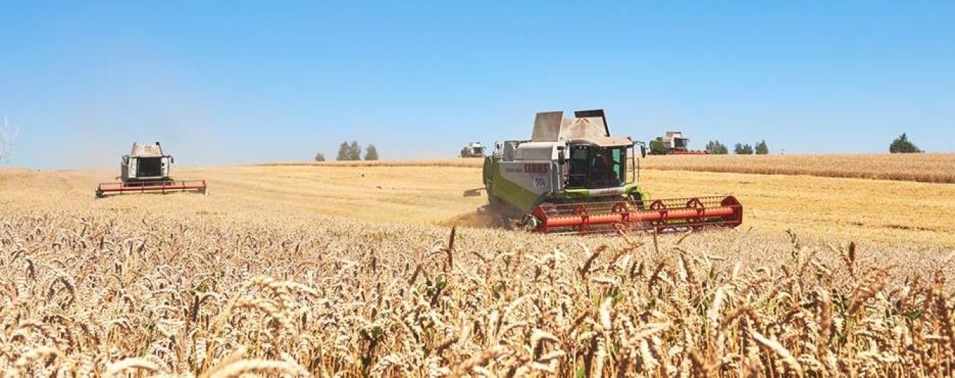Найбільший контракт в агросекторі України: саудівська компанія купила "Мрію"