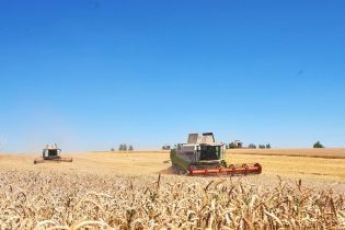 Найбільший контракт в агросекторі України: саудівська компанія купила "Мрію"