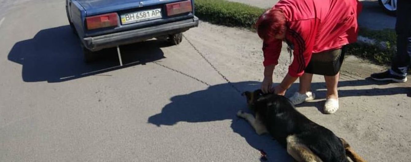 Втомилася доглядати. Жінка хотіла позбутися собаки, прив’язавши ланцюгом до бампера