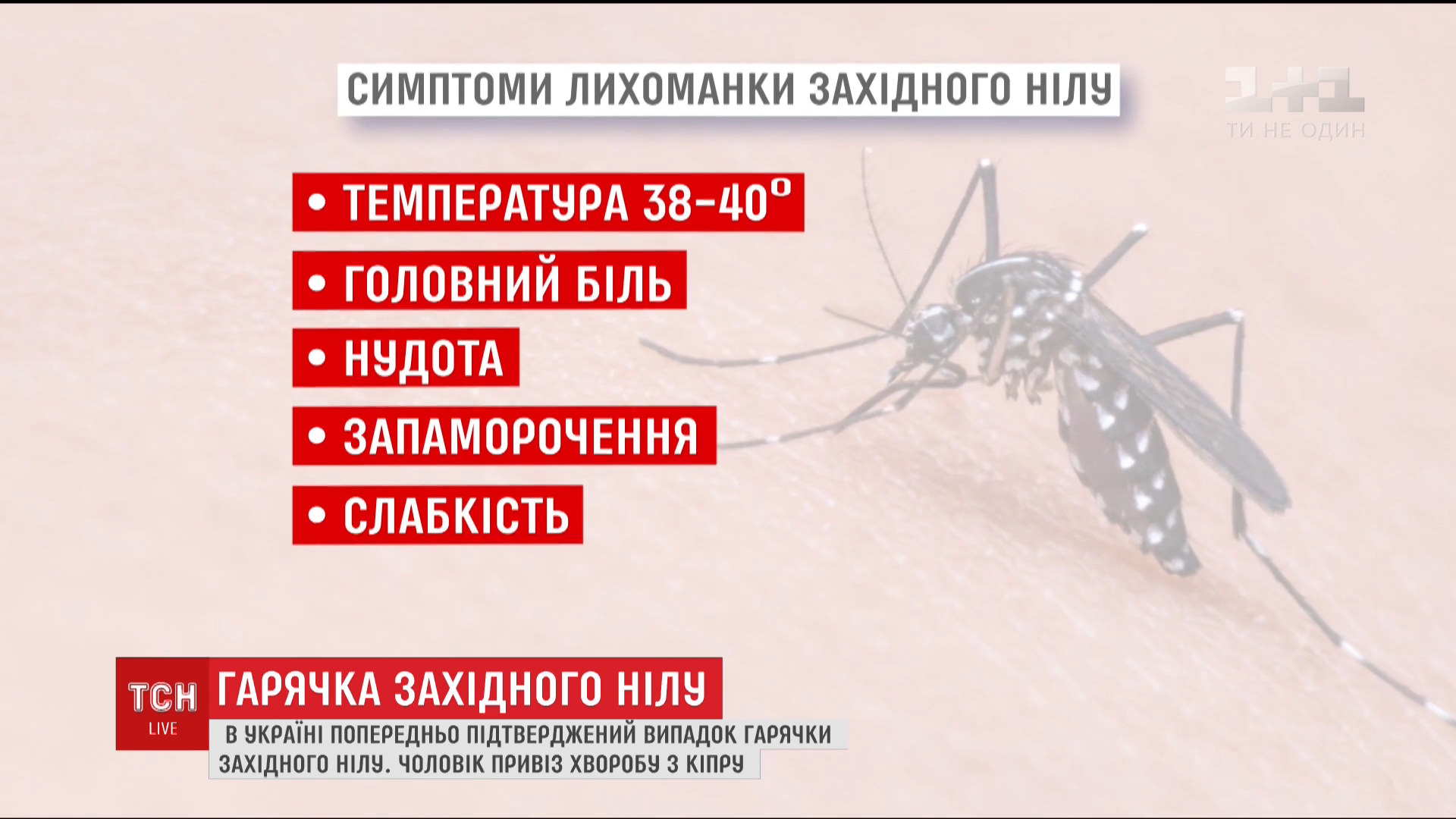 Лихоманка Західного Нілу
