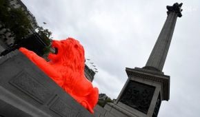 Яскраве перевтілення: у Лондоні перефарбували знаменитих левів на Трафальгарській площі