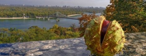 Какой будет погода в четверг. Прогноз на 20 сентября