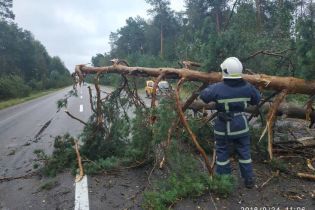 Вырванные деревья и изуродованные здания. Непогода в Украине будет только усиливаться