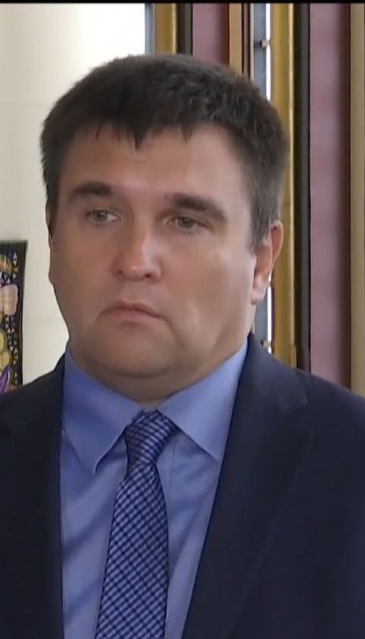 Павел Климкин не смог найти общий язык с венгерским коллегой на счет незаконной выдачи паспортов