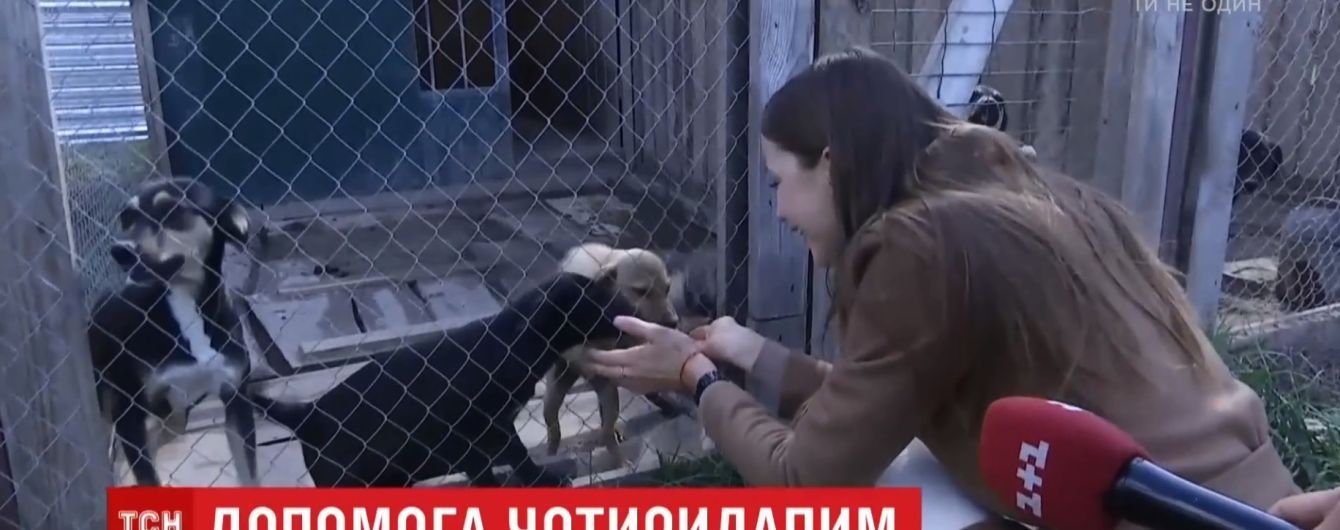 "Мисс Земля" Анастасия Кривохижа просит помочь приюту для животных