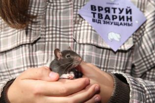 В столичном заведении животных держат в клетках для развлечения посетителей. Зоозащитники бьют тревогу
