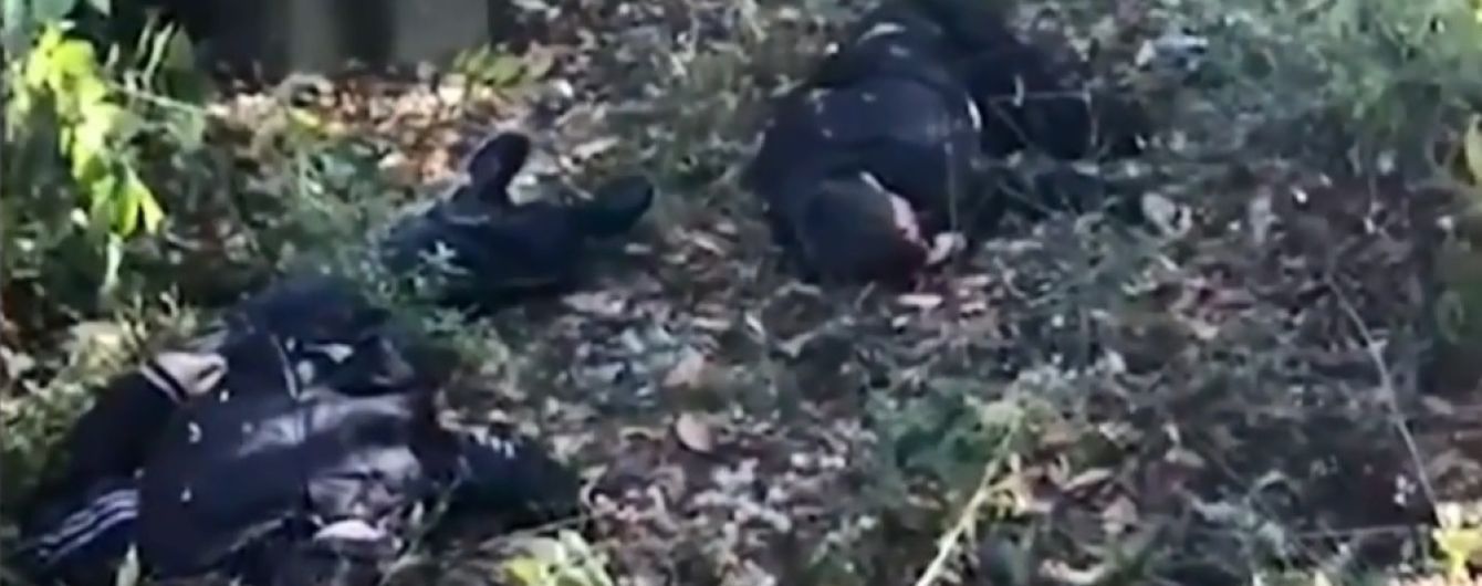 В Интернете появились кадры с места подрыва четырех детей на мине возле Горловки