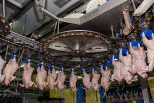 Отруєна вода на Черкащині: селяни "грішать" на місцевих виробників курятини