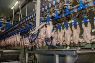 АМКУ открыл еще одно дело против крупнейшего производителя курятины из-за завышенных цен