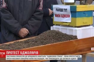 Під Кабмін принесли труну із мертвими бджолами