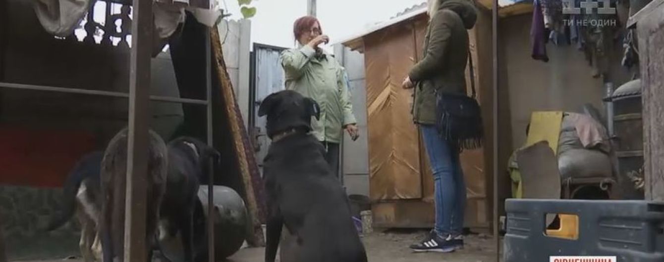 На Рівненщині жінка спить просто неба, бо в своєму будинку прихистила сотню собак
