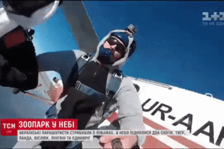 Тигр, еноты, панда: украинские парашютисты прыгнули с самолета в костюмах животных