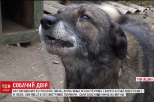 Лечение собаками: как работает канистерапия в Украине