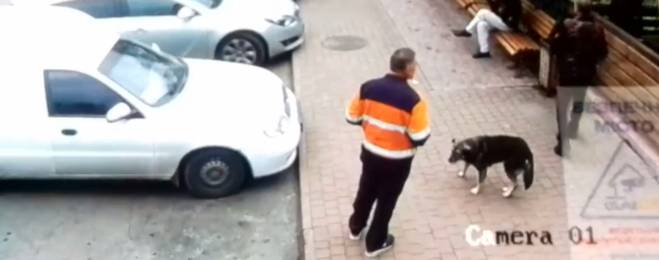 Скандальные догхантеры в Хмельницком за пять лет могли отравить 200 собак
