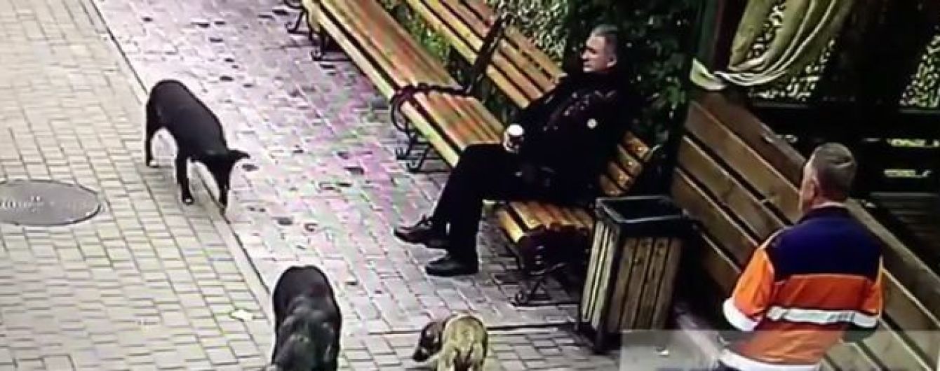 Собак могли отруїти ліками від туберкульозу. Мер Хмельницького прокоментував скандал із догхантерами