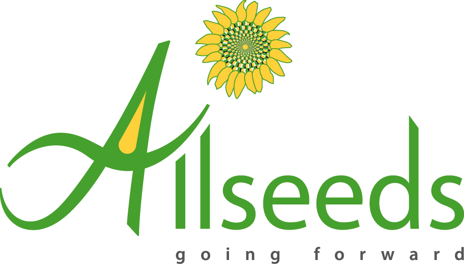 Allseeds_реклама_1