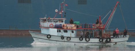 Украина и Россия проведут онлайн-переговоры относительно вылова рыбы в Азовском море