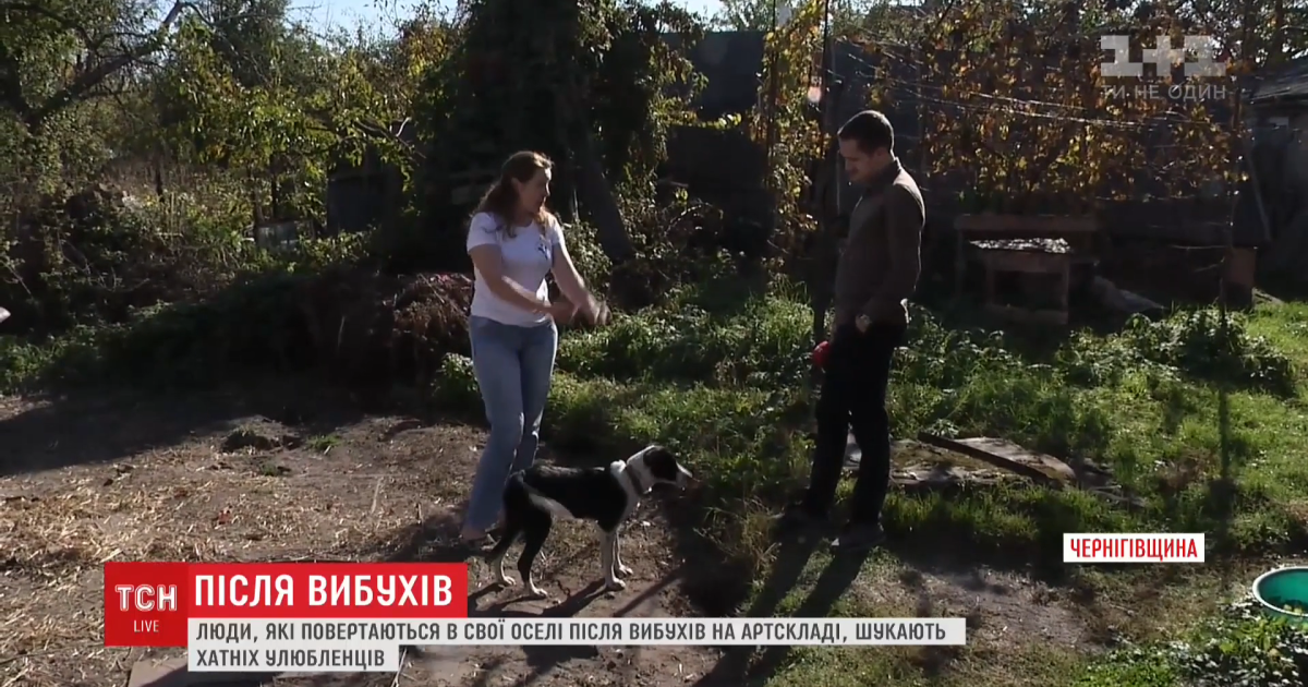 Вибухи біля Ічні. Місцеві жителі через соцмережі розшукують тварин, які злякалися та втекли