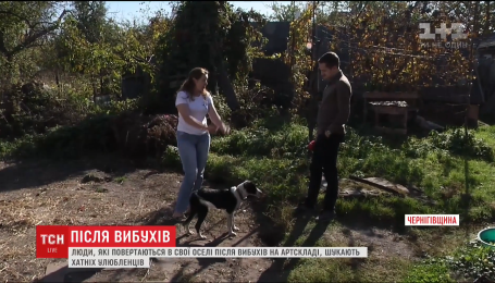 Вибухи біля Ічні. Місцеві жителі через соцмережі розшукують тварин, які злякалися та втекли
