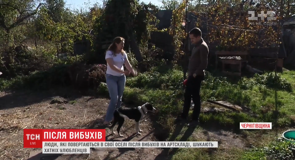 Вибухи біля Ічні. Місцеві жителі через соцмережі розшукують тварин, які злякалися та втекли