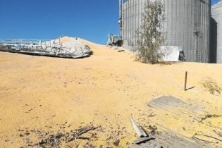 Возле Сум посреди ночи разорвало элеватор и кукурузой засыпало соседнюю улицу