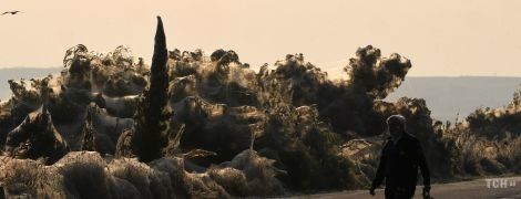 Ночной кошмар арахнофоба. Север Греции атаковали сотни тысяч пауков