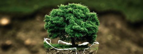 ТСН stories. Как человечество может спасти Землю от климатических изменений