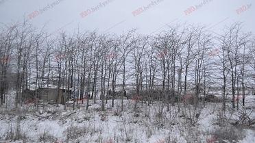 запоріжжя_2 / © pro.berdyansk.biz