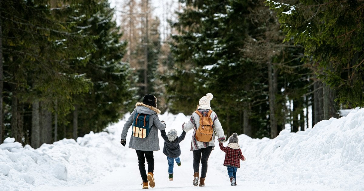 Сімʼя гуляє в лісі