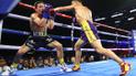 WBA визнала нокаут Ломаченка в бою з Кроллою найкращим у місяці