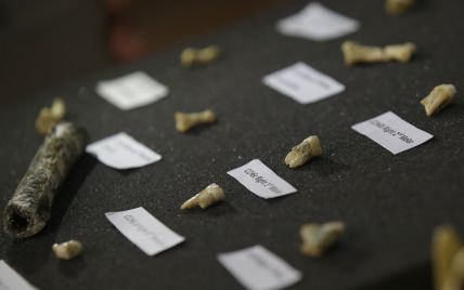 Дослідники знайшли найстарішу скандинавську ДНК у первісній жуйці