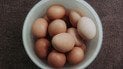 Чем отличаются мгновенные и немытые яйца