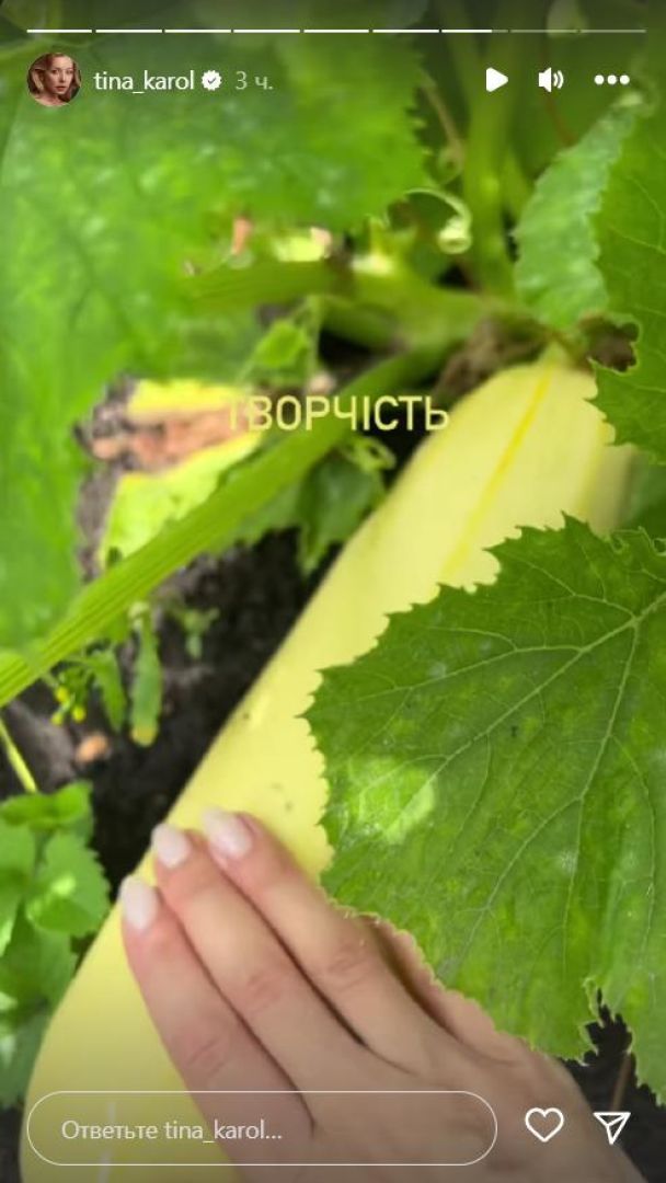 Тина Кароль продемонстрировала свой урожай тыквы / © instagram.com/tina_karol