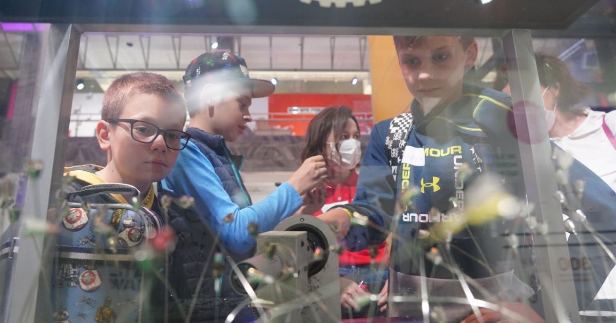 Музей науки в Києві_2 / © Министерство образования и науки Украины
