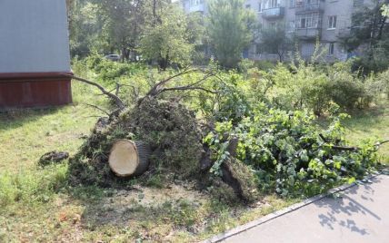 Ураган в Кременчуге: на детской площадке дерево упало на семью