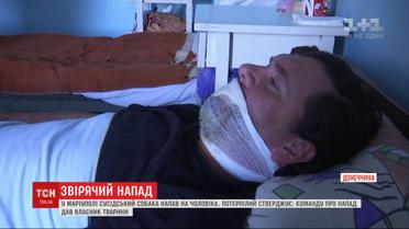 В Мариуполе питбуль покусал лицо и руки прохожему