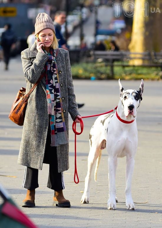 Лесби порно фрикциясы