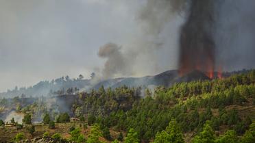 Виверження вулкану в Іспанії_3 / © Associated Press