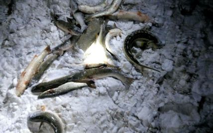 Прикордонники затримали в Азовському морі браконьєрів з виловом на 60 тисяч гривень