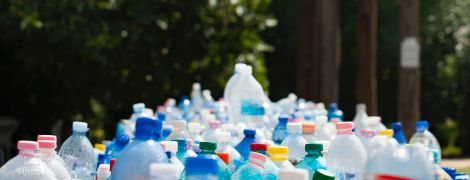 Ученые нашли бактерию, которая может питаться одним только пластиком