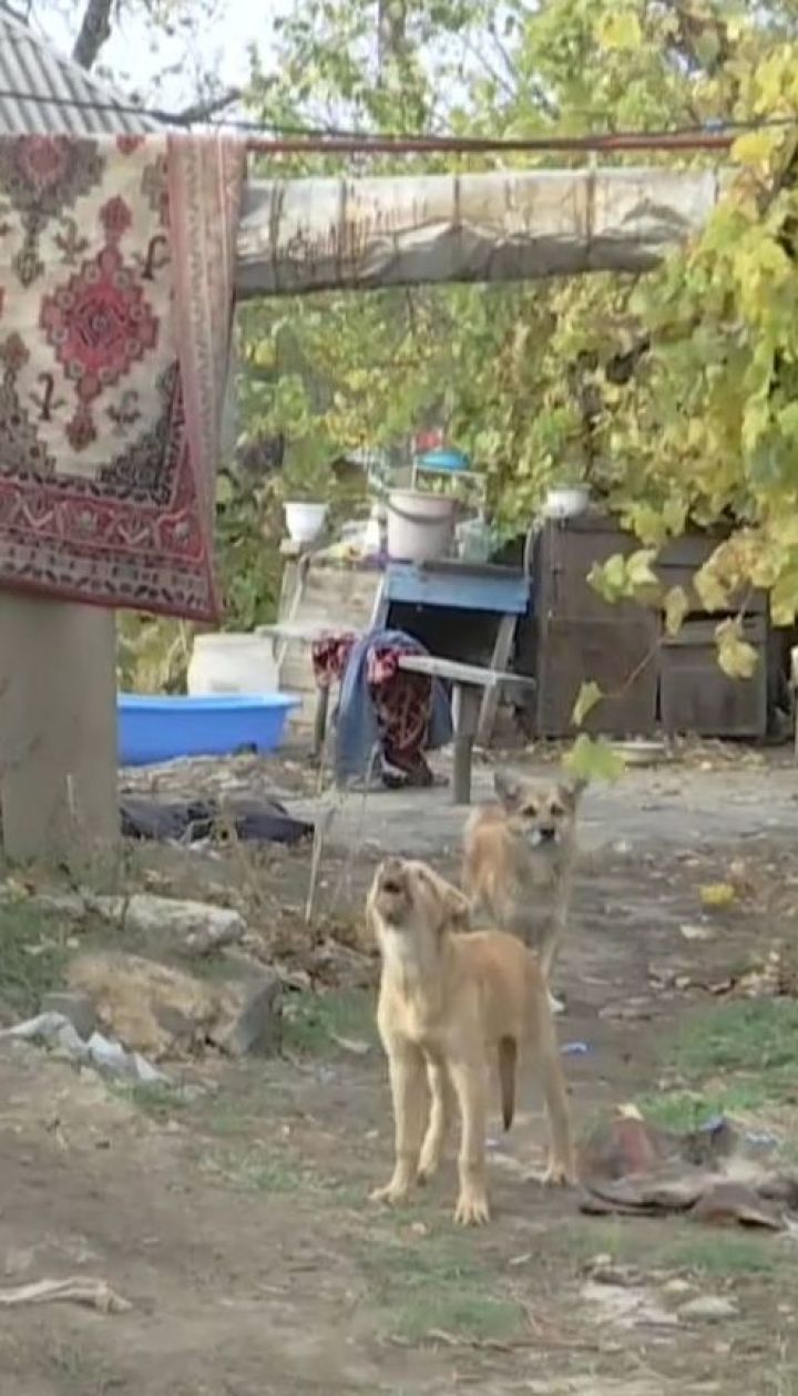 Двое серийных убийц закопали в собственном дворе пять человеческих трупов